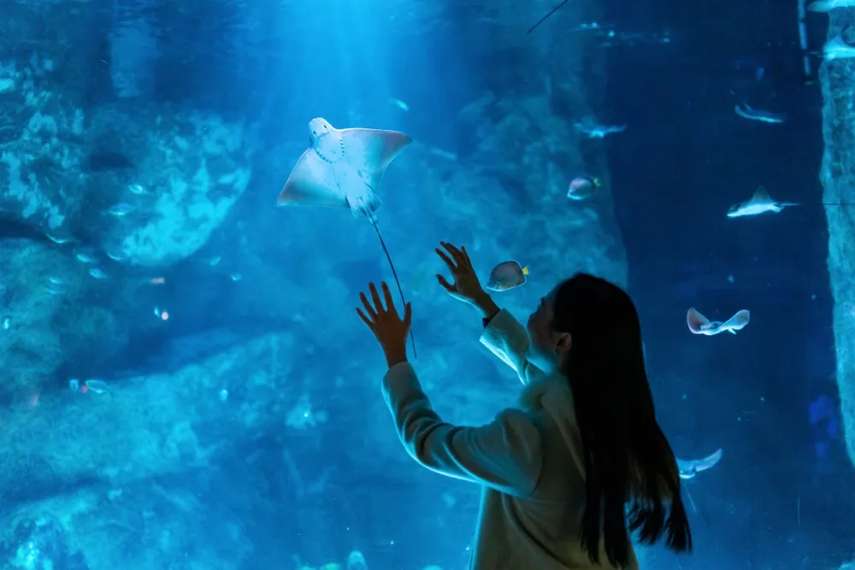 3 Best places to visit for babies and toddlers in Blackpool