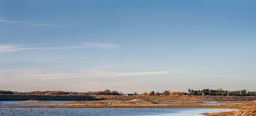 9. Rye Harbour Nature Reserve 