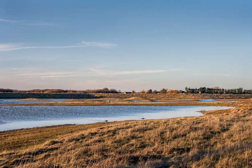 9. Rye Harbour Nature Reserve 