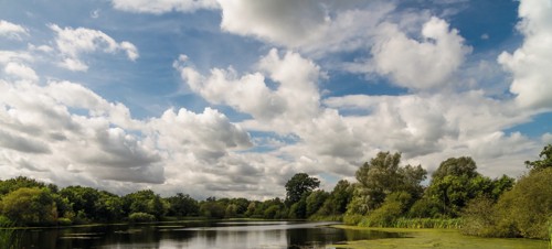 7. Moors Valley Country Park and Forest