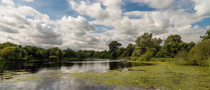 7. Moors Valley Country Park and Forest
