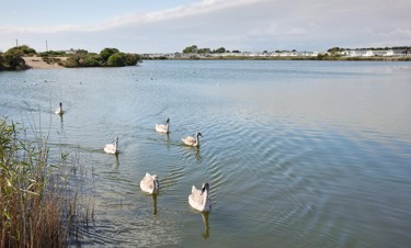 Nature reserve at Church Farm