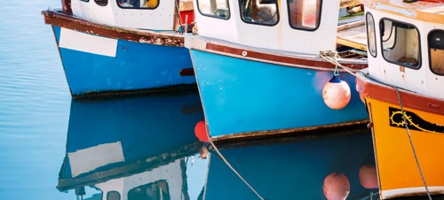 6. Kaimoana Charter Fishing