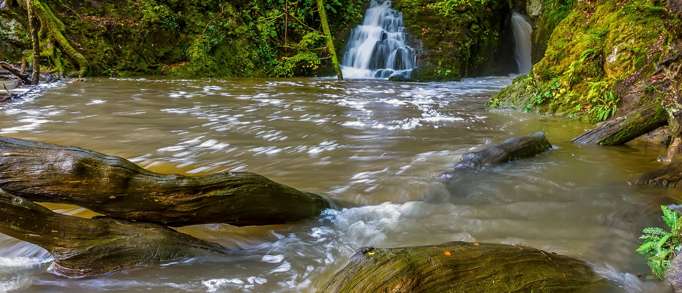 Ffynone Waterfall