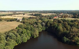 Fritton Woods from above