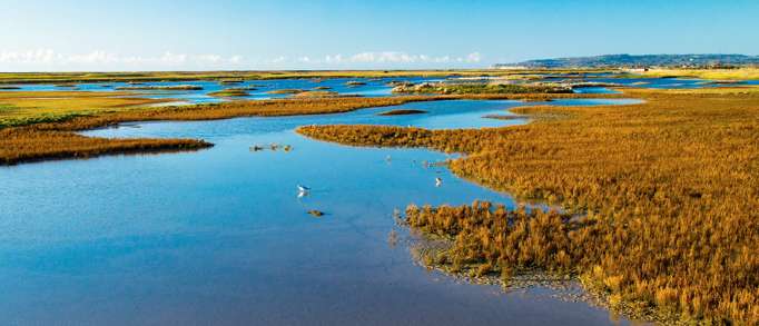 1. Rye Harbour Nature Reserve
