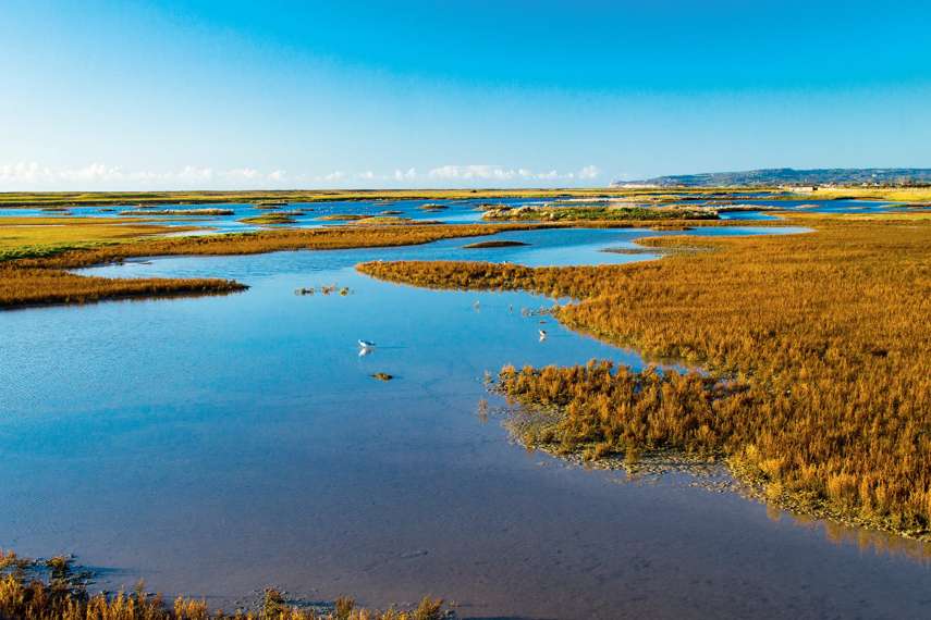 1. Rye Harbour Nature Reserve