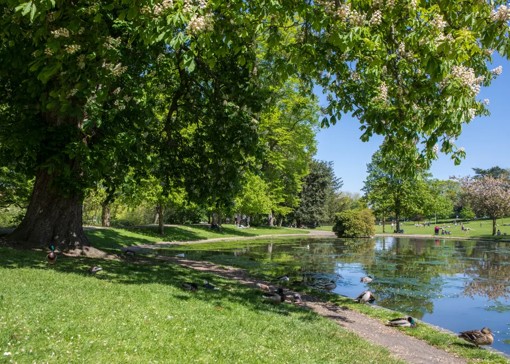 Things to do in Essex with kids