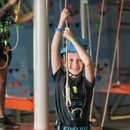 Aerial Adventure at Craig Tara