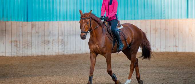 10. Monty’s Equestrian Centre, Holland-on-Sea