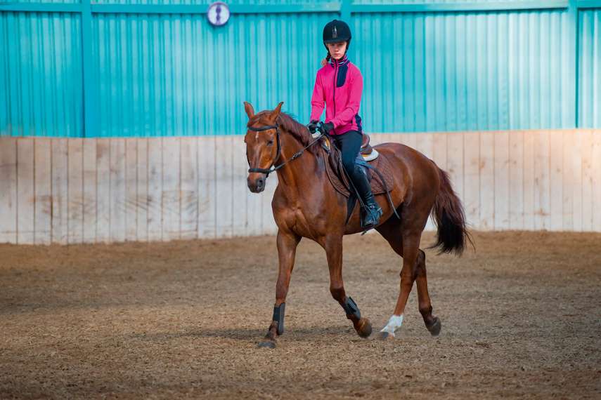 10. Monty’s Equestrian Centre, Holland-on-Sea