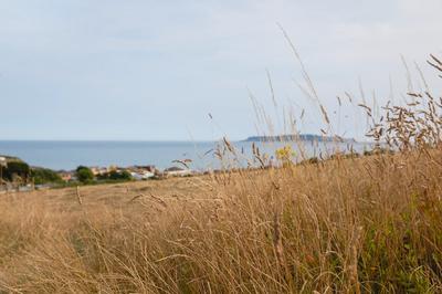 Seaview
