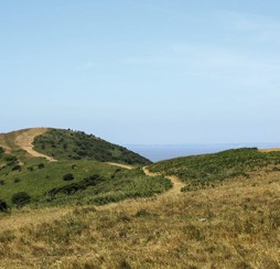The Brean Downs in Somerset