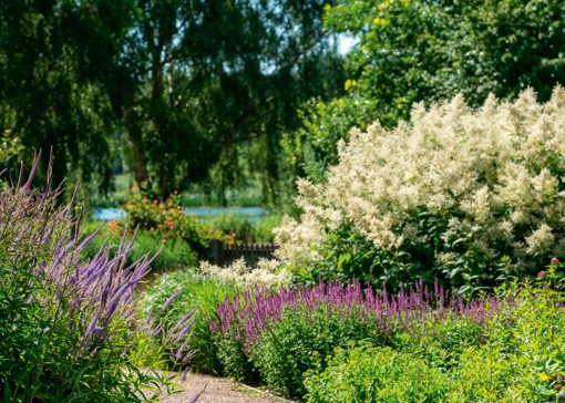 Visit Norfolk’s nature reserves and wildlife parks