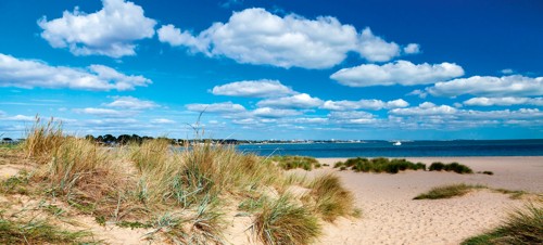 Shell Bay, Studland