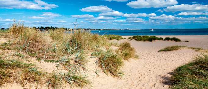Shell Bay, Studland