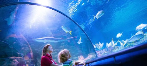 Best places to visit for kids aged 4-11 in Sussex