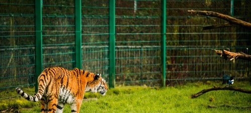 8. Blackpool Zoo