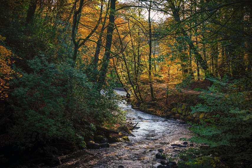2. Dean Castle and Country Park