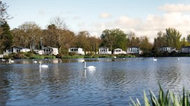 Swans on one of the seven lakes