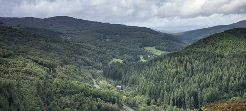 Coed Y Brenin Forest Park 
