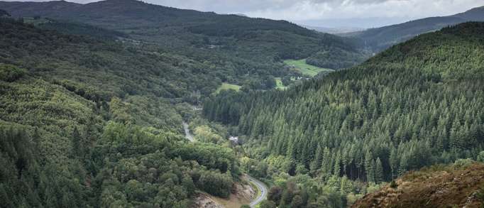 Coed Y Brenin Forest Park 