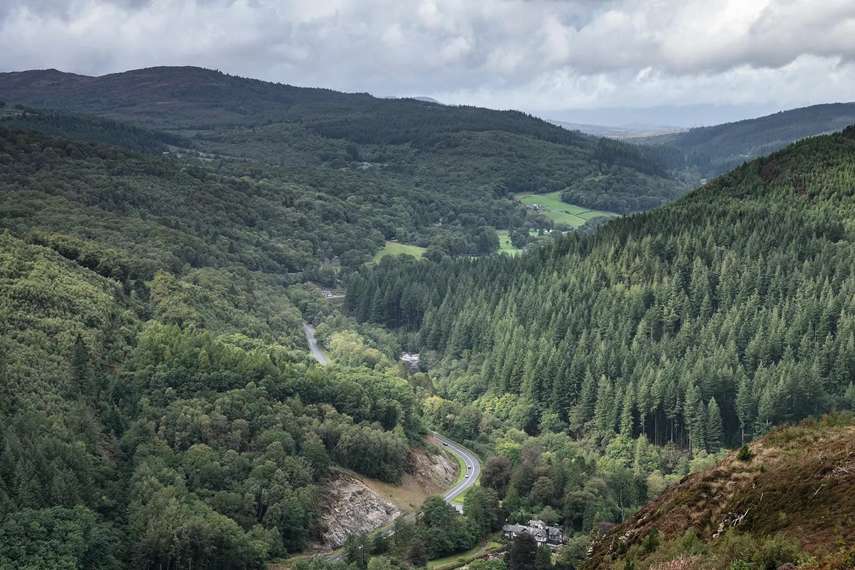 Coed Y Brenin Forest Park 