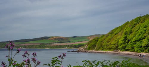 6. Coastal trail to Ayr