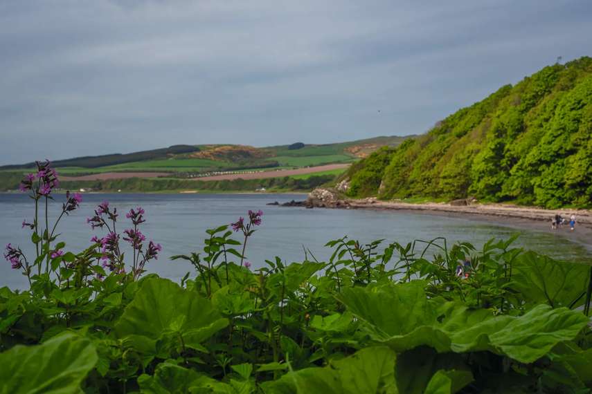 6. Coastal trail to Ayr