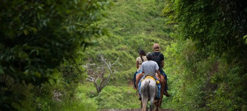 Woldgate Trekking Centre 