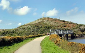 Cyclists on the Camel Trail