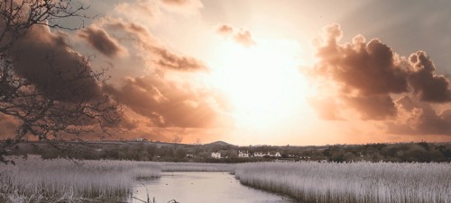 Welsh Wildlife Centre, Cilgerran