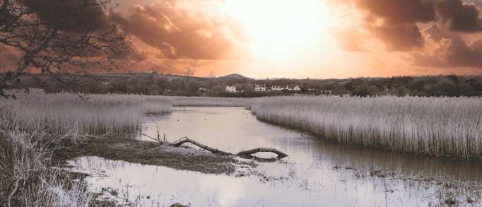 Welsh Wildlife Centre, Cilgerran