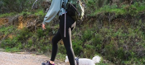 Aberaeron to Aberarth trail