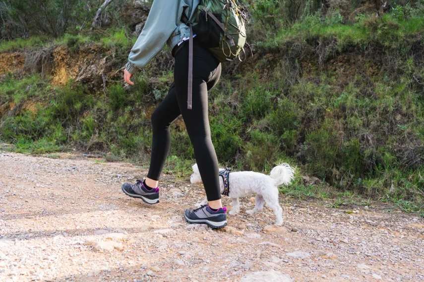 Aberaeron to Aberarth trail