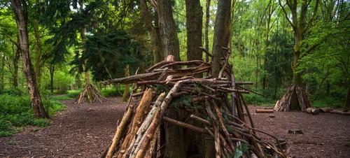 Den Building