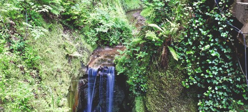 3. Shanklin Chine 