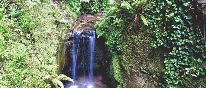 3. Shanklin Chine 