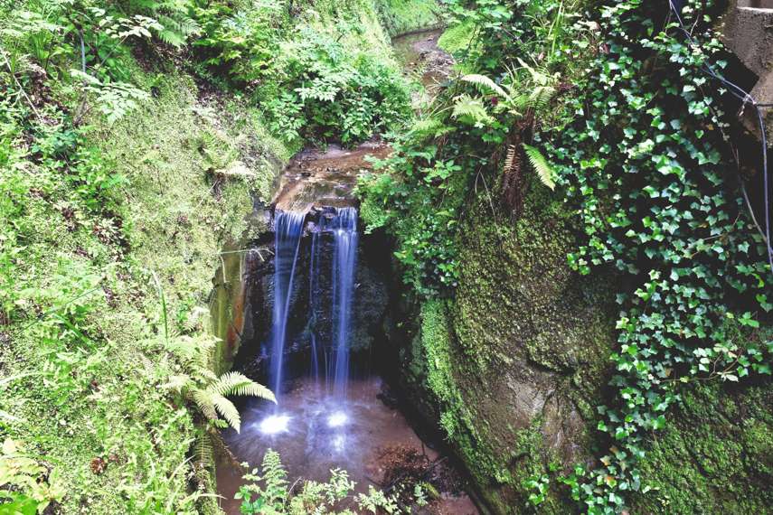 3. Shanklin Chine 