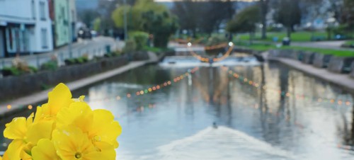 2. Dawlish Lawn & Brook 