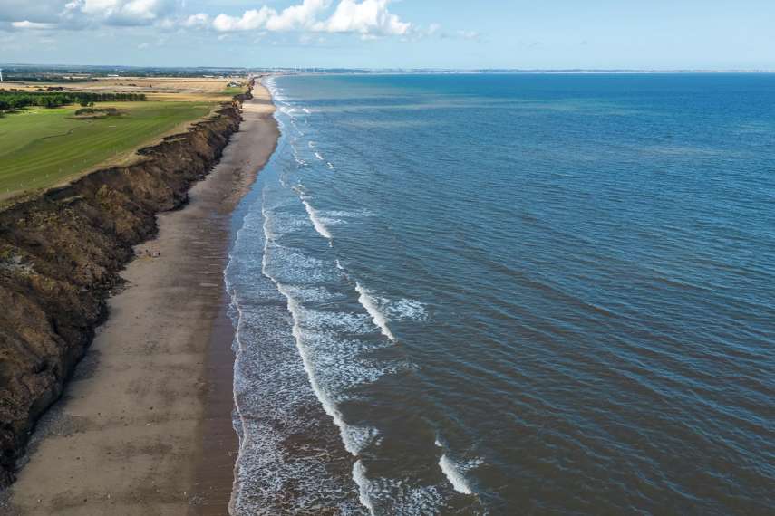 3. Take a walk on the wild side