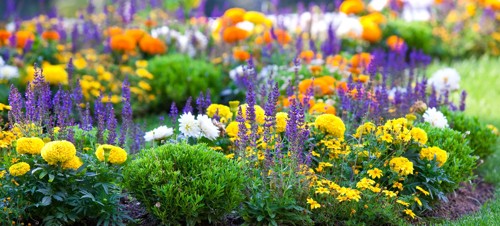 1. The Plantation Gardens walk 
