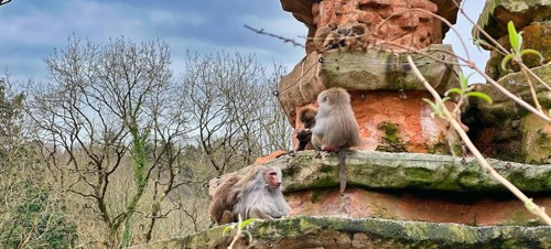 3 Best places to visit for babies and toddlers in Devon