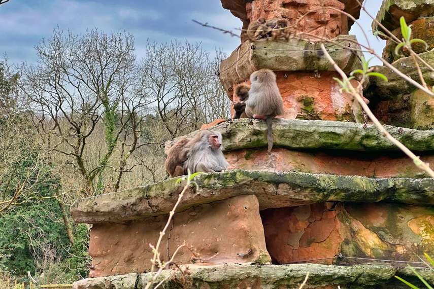 3 Best places to visit for babies and toddlers in Devon