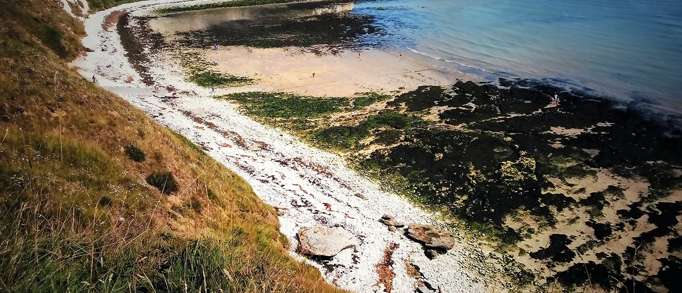 Danes Dyke Nature Reserve