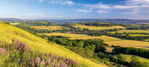 4. Harting Down Circular Walk 