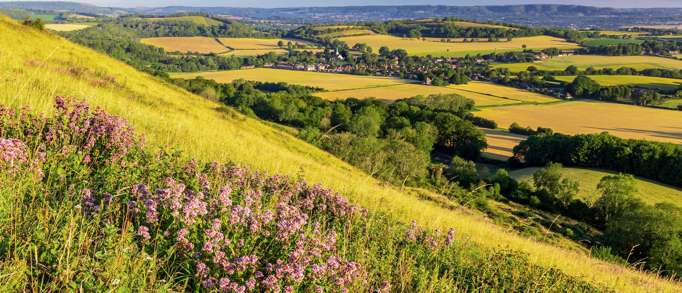 4. Harting Down Circular Walk 