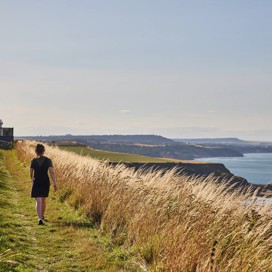 Blue Dolphin, Yorkshire