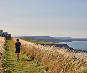 Blue Dolphin, Yorkshire