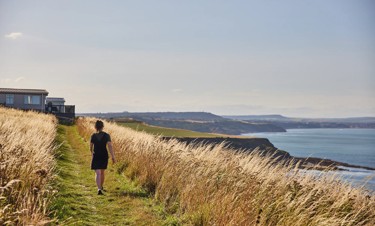 Blue Dolphin, Yorkshire